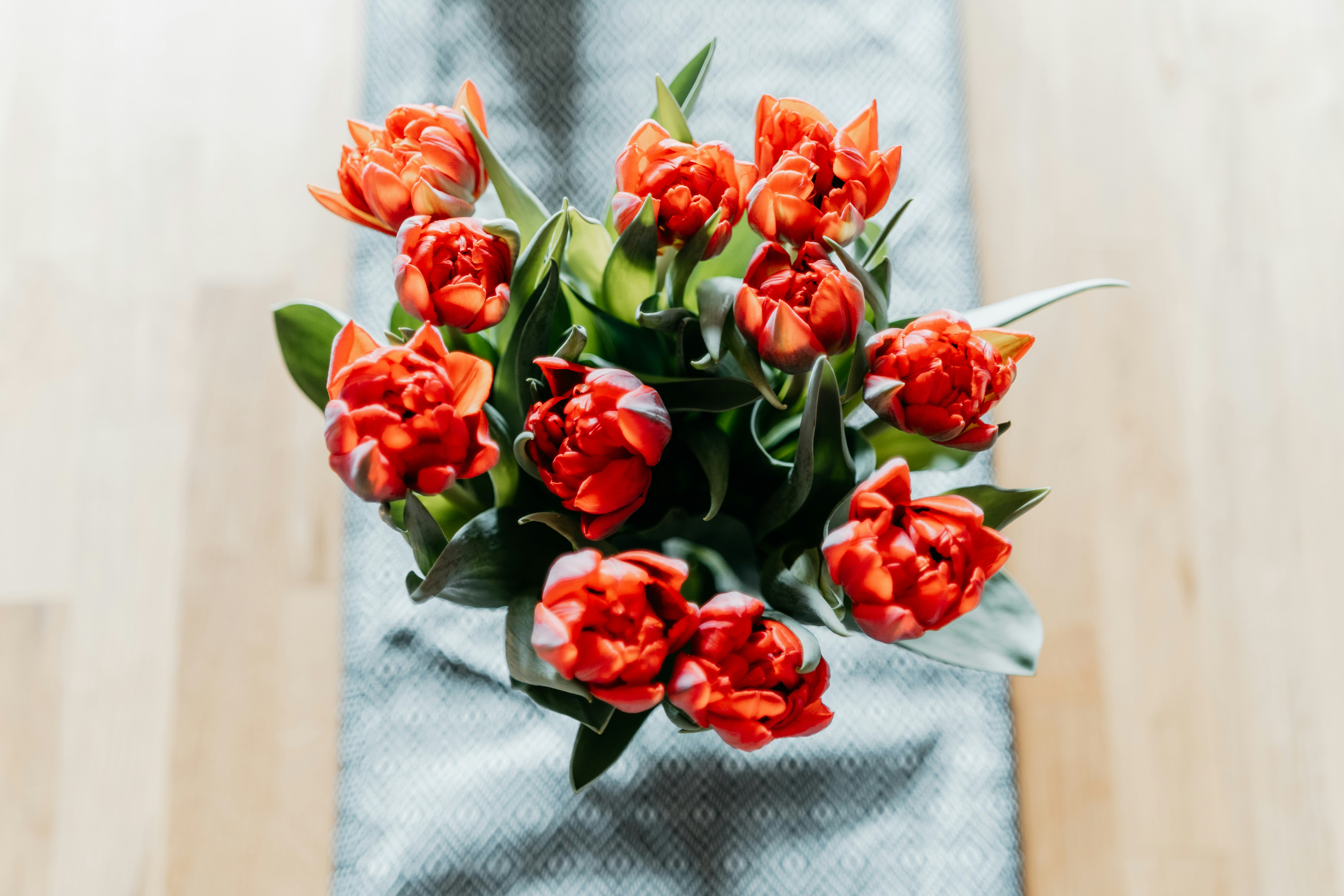 red roses on white textile